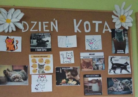 DZIEŃ KOTA
