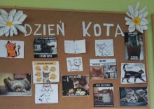 DZIEŃ KOTA