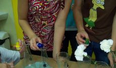 Niemieckojęzyczny interdyscyplinarny projekt edukacyjny z ZSO nr 12 - Kolorowe kwiaty/ Bunte blumen